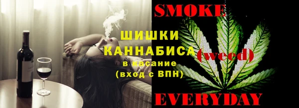 шишки Новозыбков