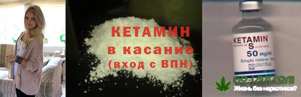 шишки Новозыбков