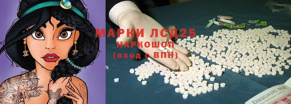 шишки Новозыбков