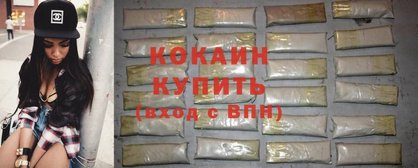 шишки Новозыбков